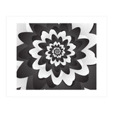 Mono Chrome Flower Spiral Pattern (Print Only) thumbnail