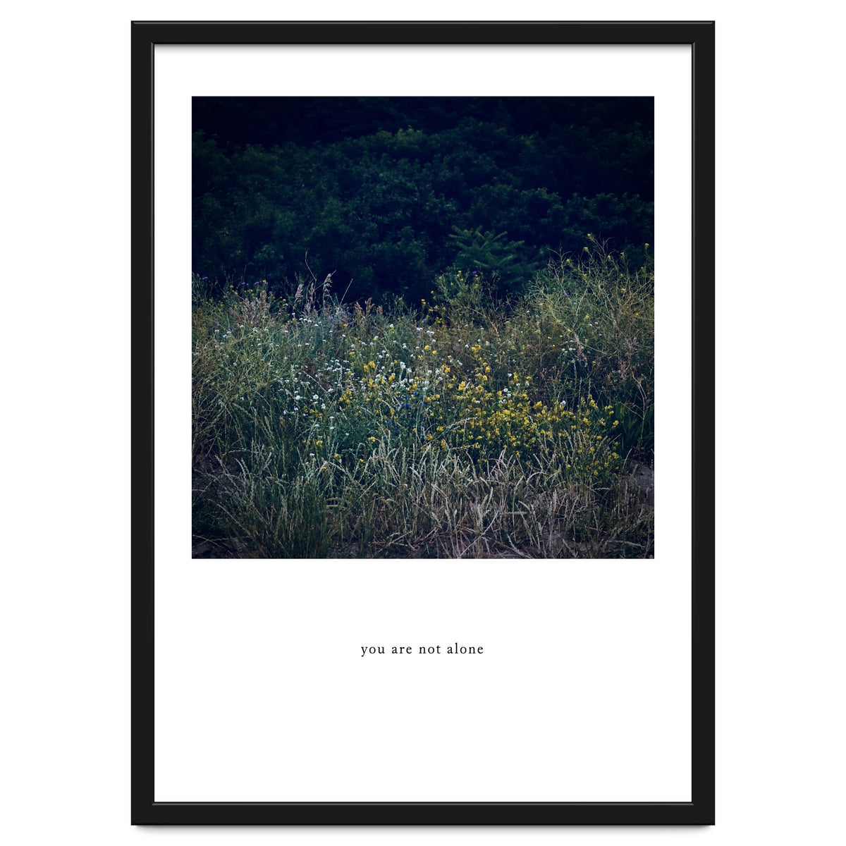 you are not alone - Nature Photography