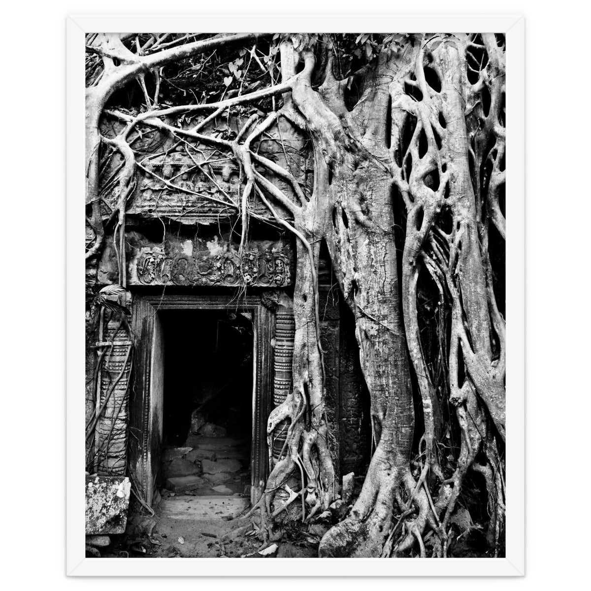 Ta Prohm Temple, Cambodia