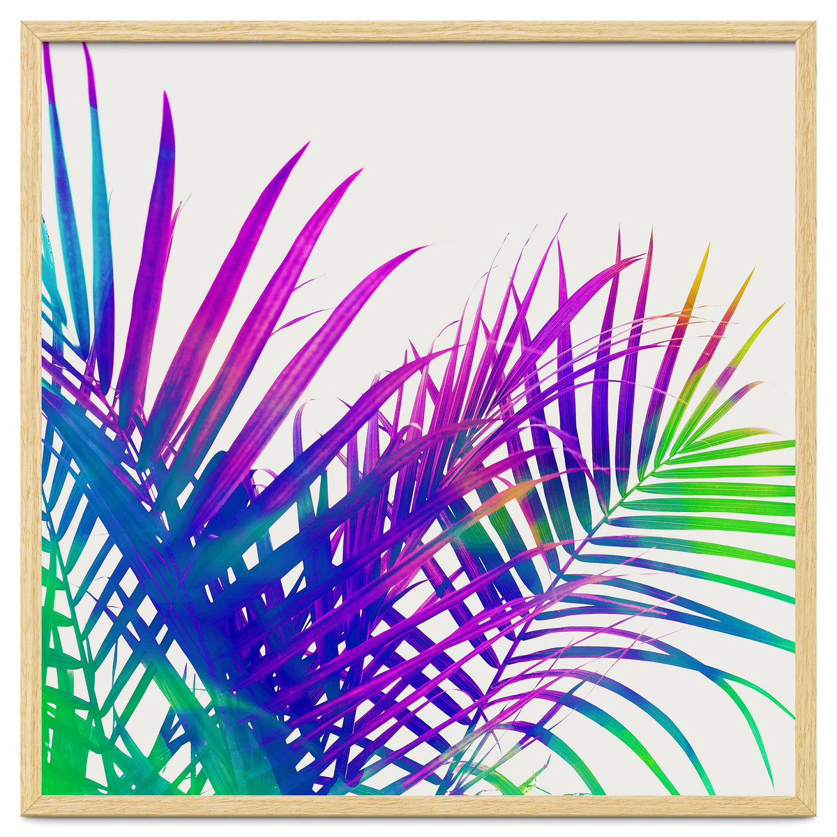 Colorful Palm