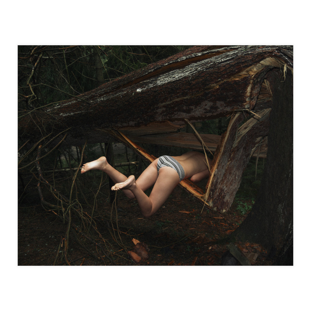 Don’t go There, It’s a Trap (Print Only)