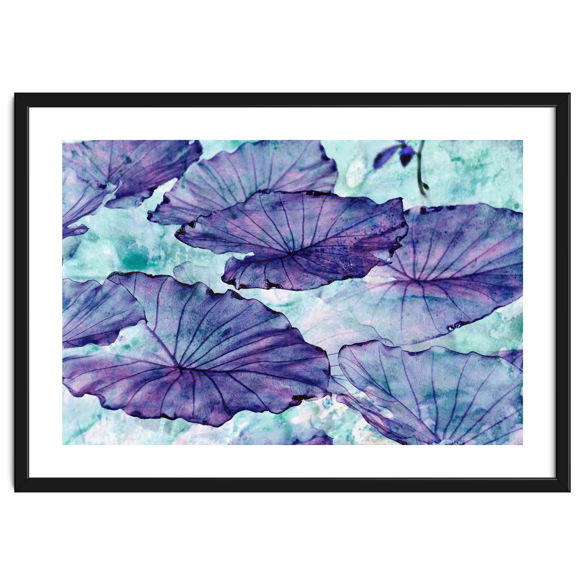 Botanical Surrealism