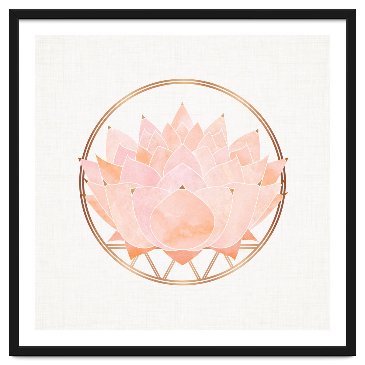 Peach Succulent  Blossom