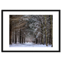 Dog Walkers in the Snow.  Heath Warren - Hampshire