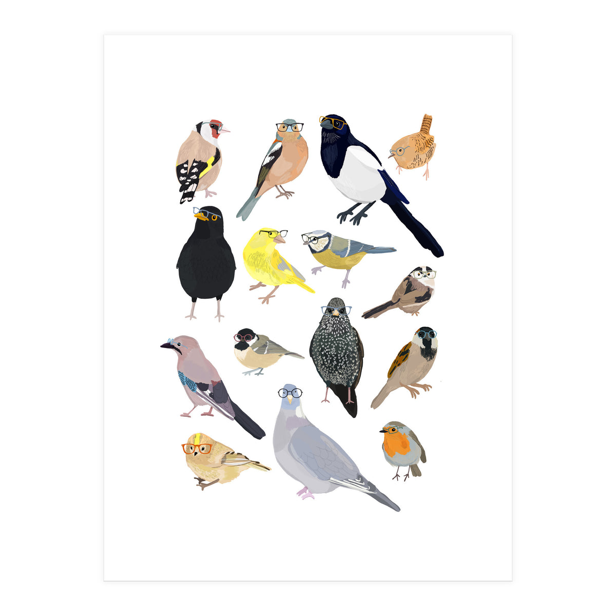 UK Birds in Glasses (Print Only)