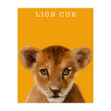 Lion Cub (Print Only) thumbnail