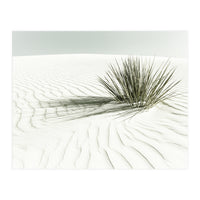 WHITE SANDS Idyllic scenery | Vintage (Print Only)