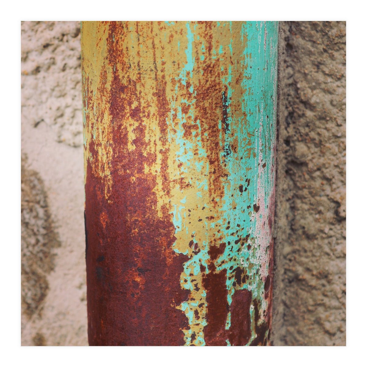 rust and colour (Print Only)