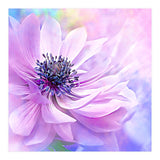 Wispy Purple Anemone (Print Only) thumbnail