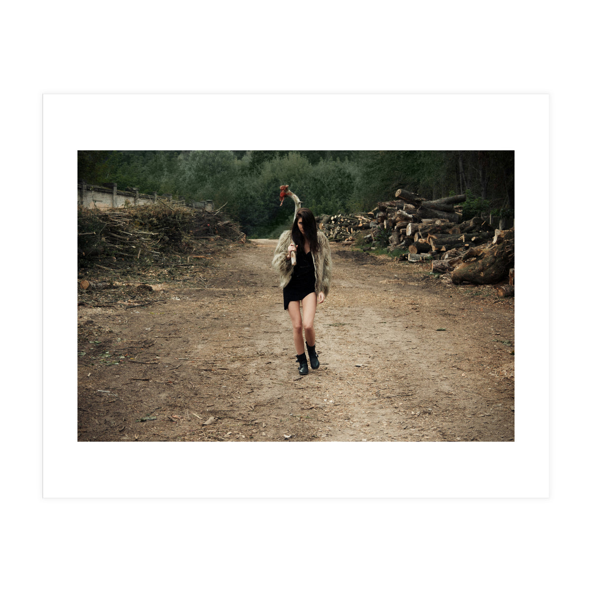 Primitive Tools (Print Only)