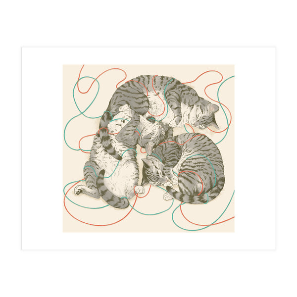 Cats (Print Only)
