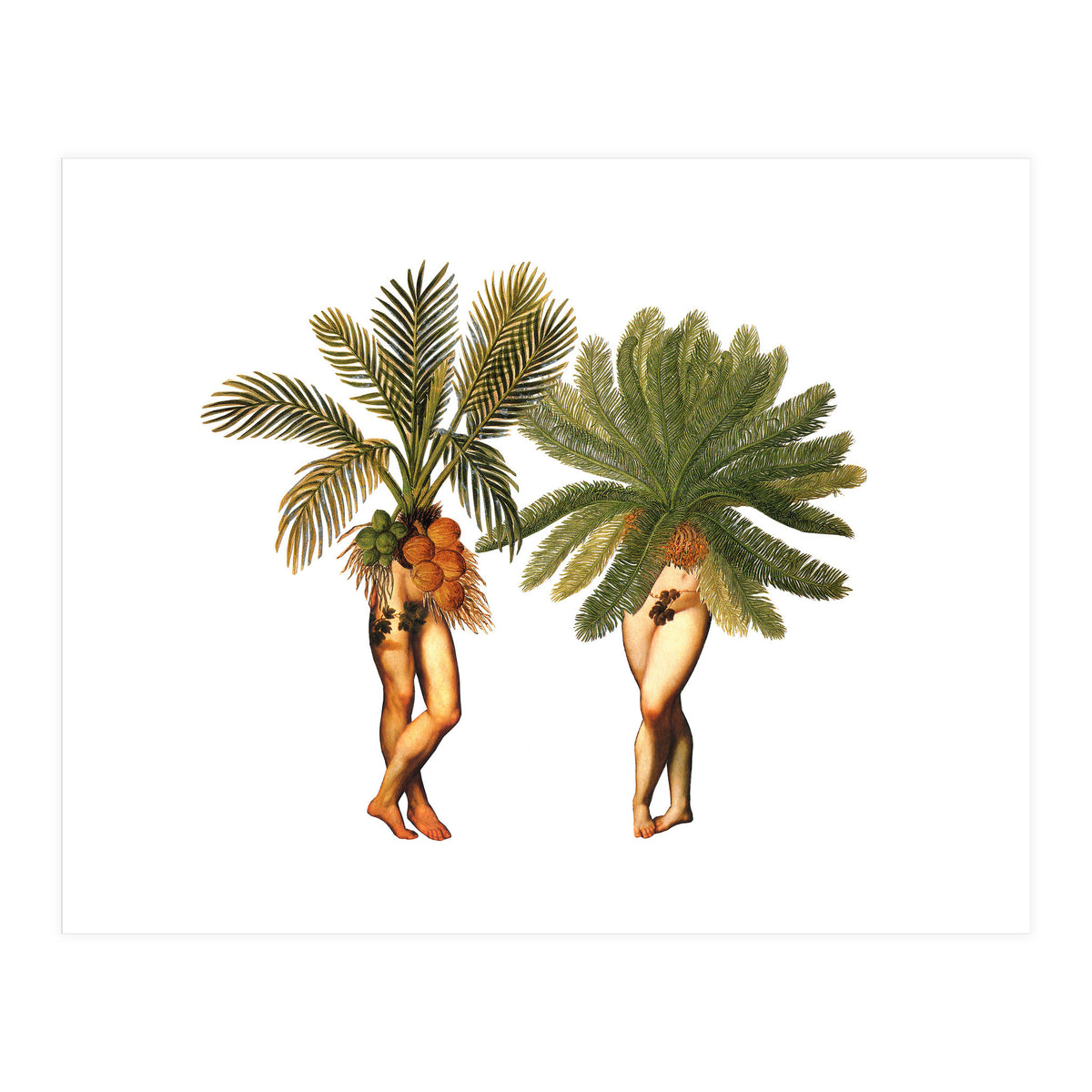 The Palms (Print Only)