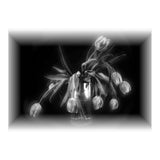 Tulips (Print Only) thumbnail
