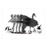 The Black Swan (Print Only) thumbnail