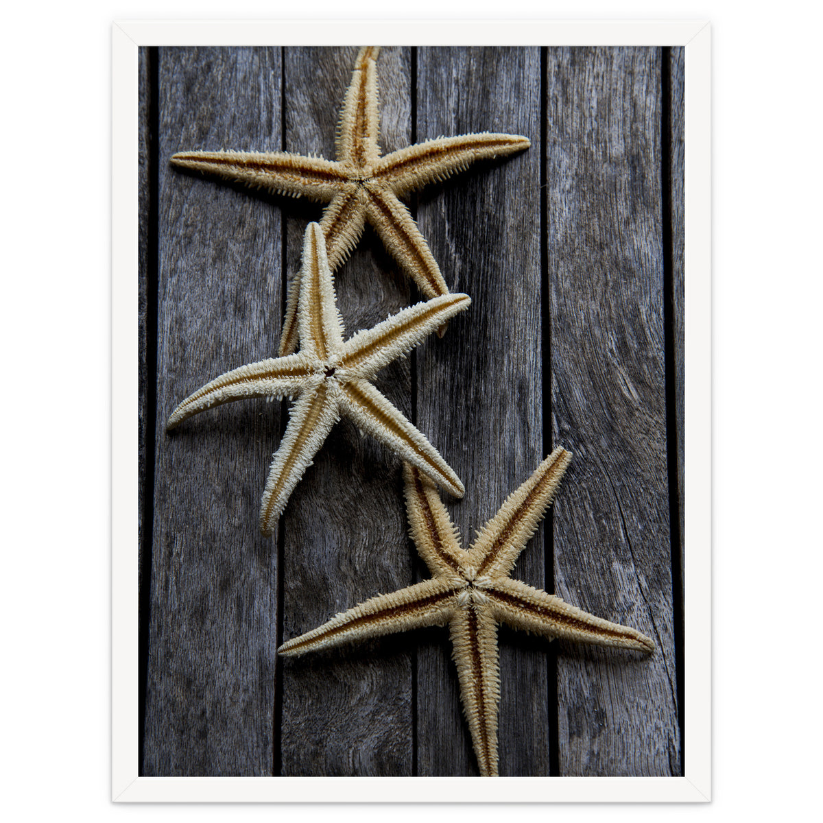 Starfishes in wooden
