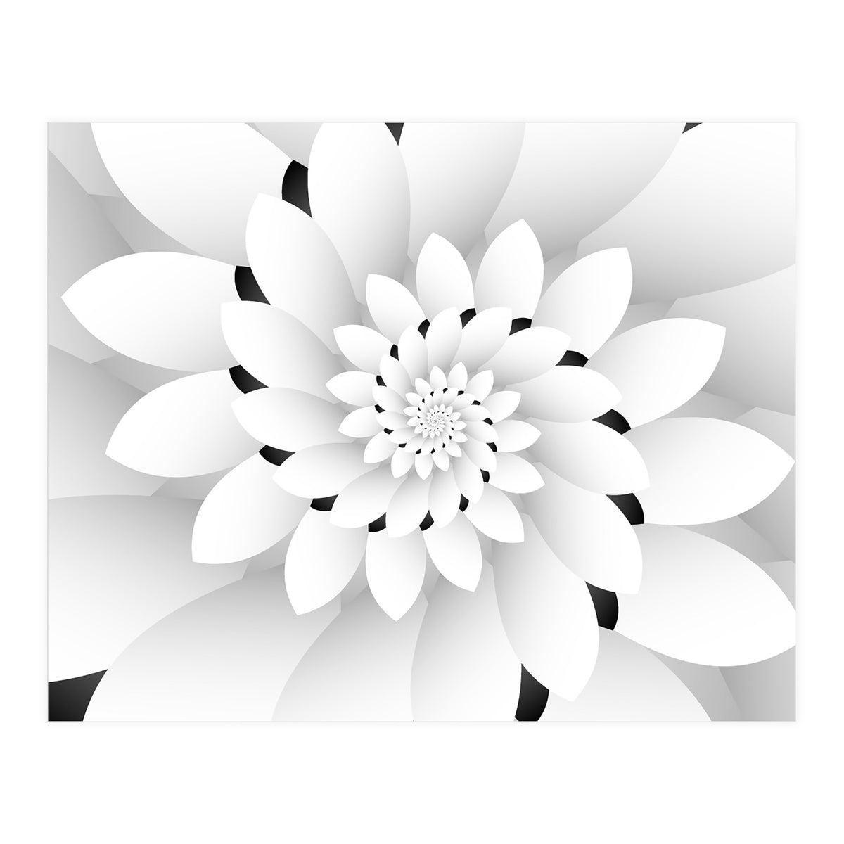 Monochrome Floral Design  (Print Only)