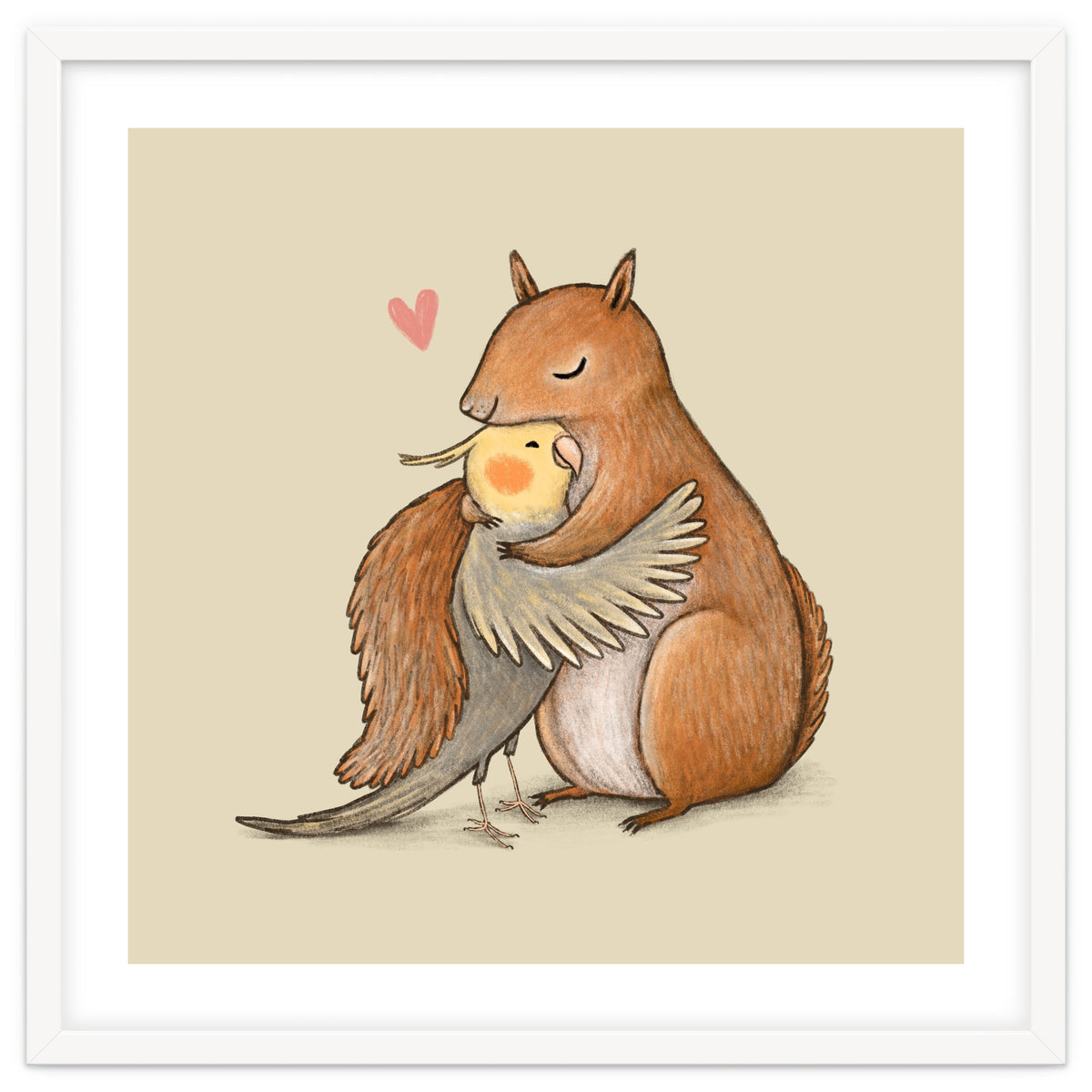 Cockatiel And Squirrel