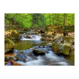 Spring At Harz Moutain (Print Only) thumbnail