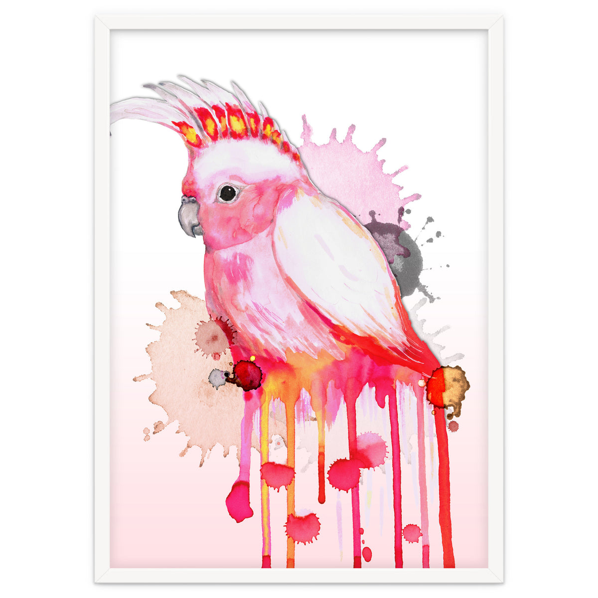 Major Mitchell's cockatoo