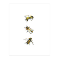 The 3 Bee's (Print Only)
