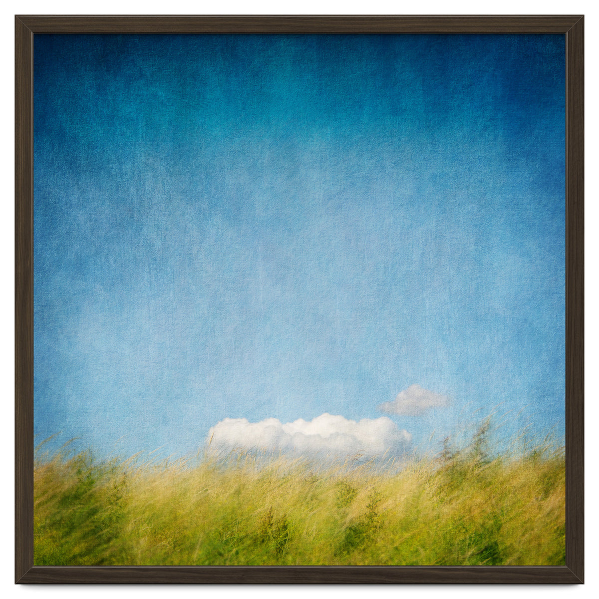 The Cloud That Fell From The Sky