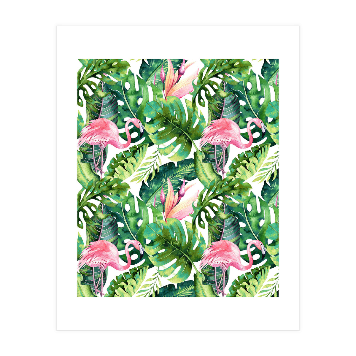 Flamingo Tropical II (Print Only)