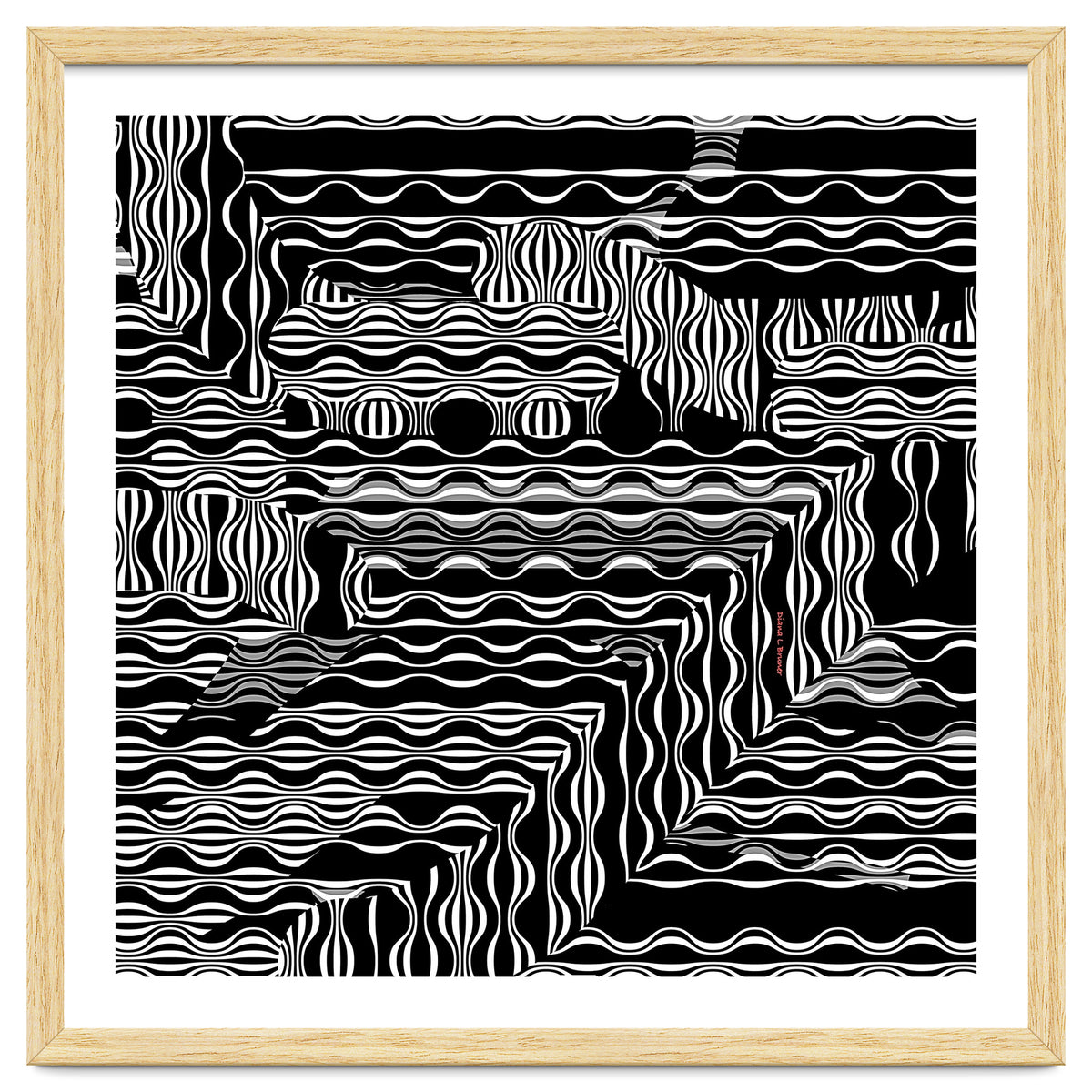 BLACK AND WHITE EXOTIC