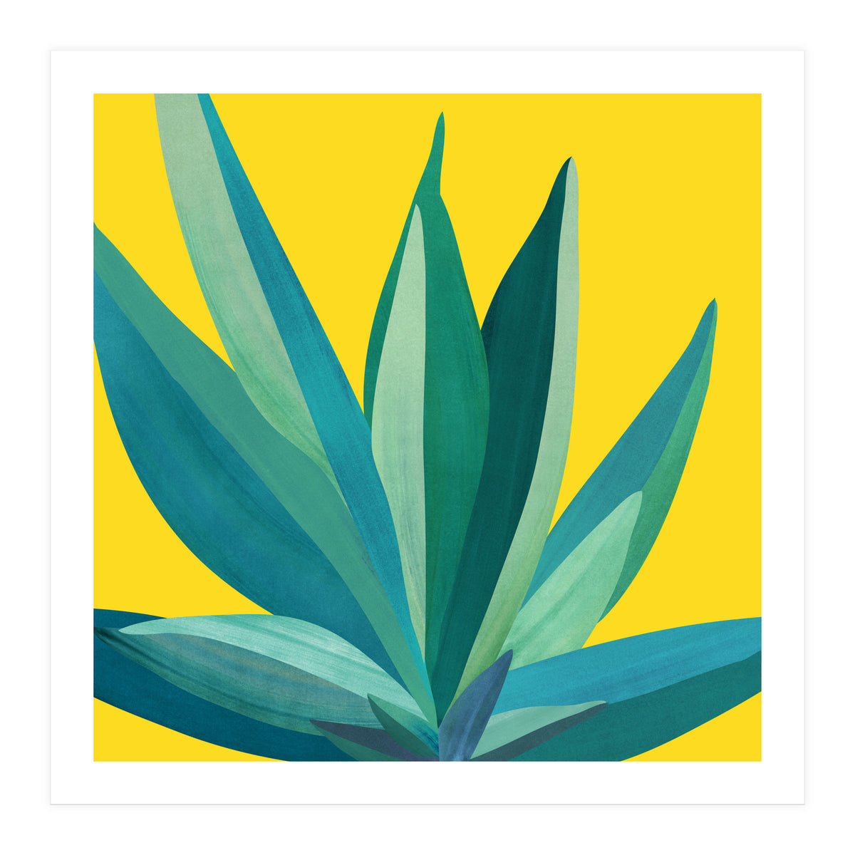 Spring Cactus (Print Only)