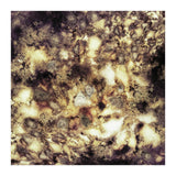 Demolition (Print Only) thumbnail