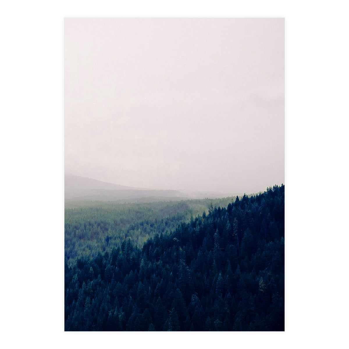 Priceless Treasure (Print Only)