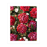 Blossom Love (Print Only) thumbnail