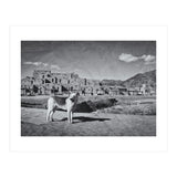 Taos (Print Only) thumbnail