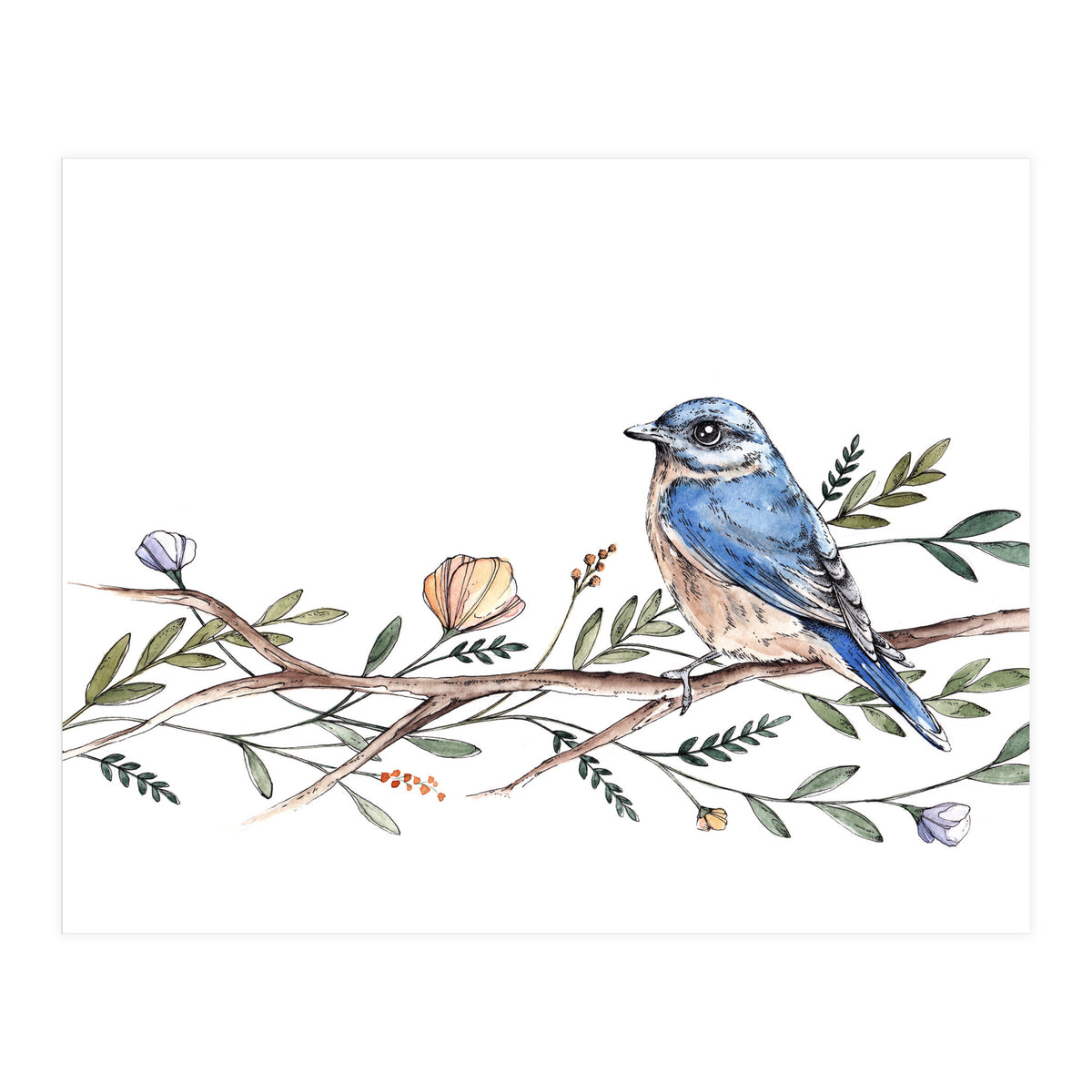 Bird on Branch (Print Only)