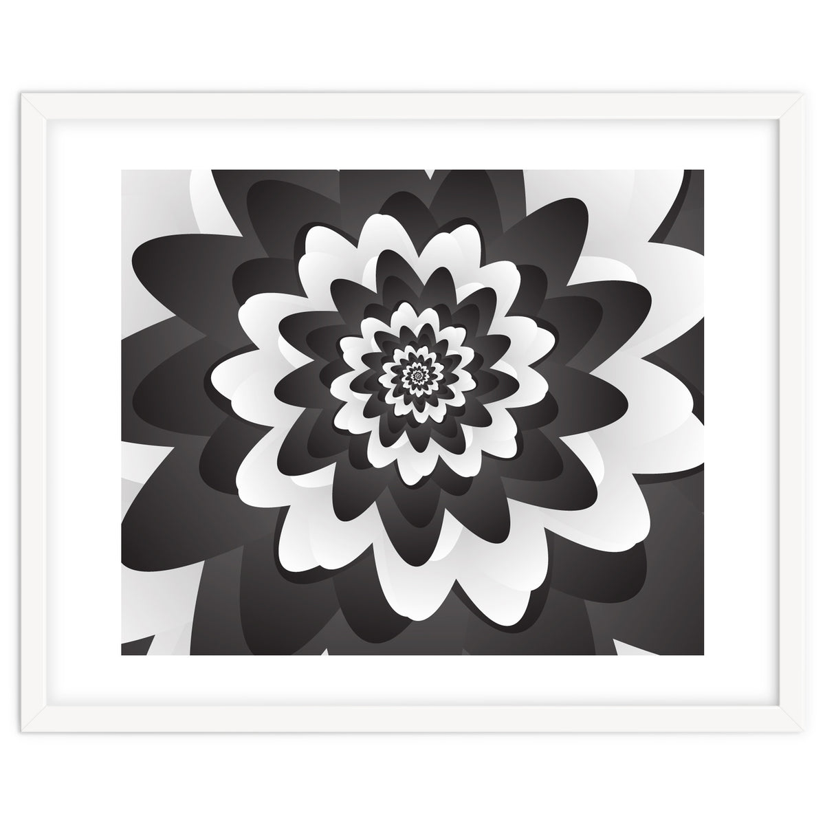 Mono Chrome Flower Spiral Pattern