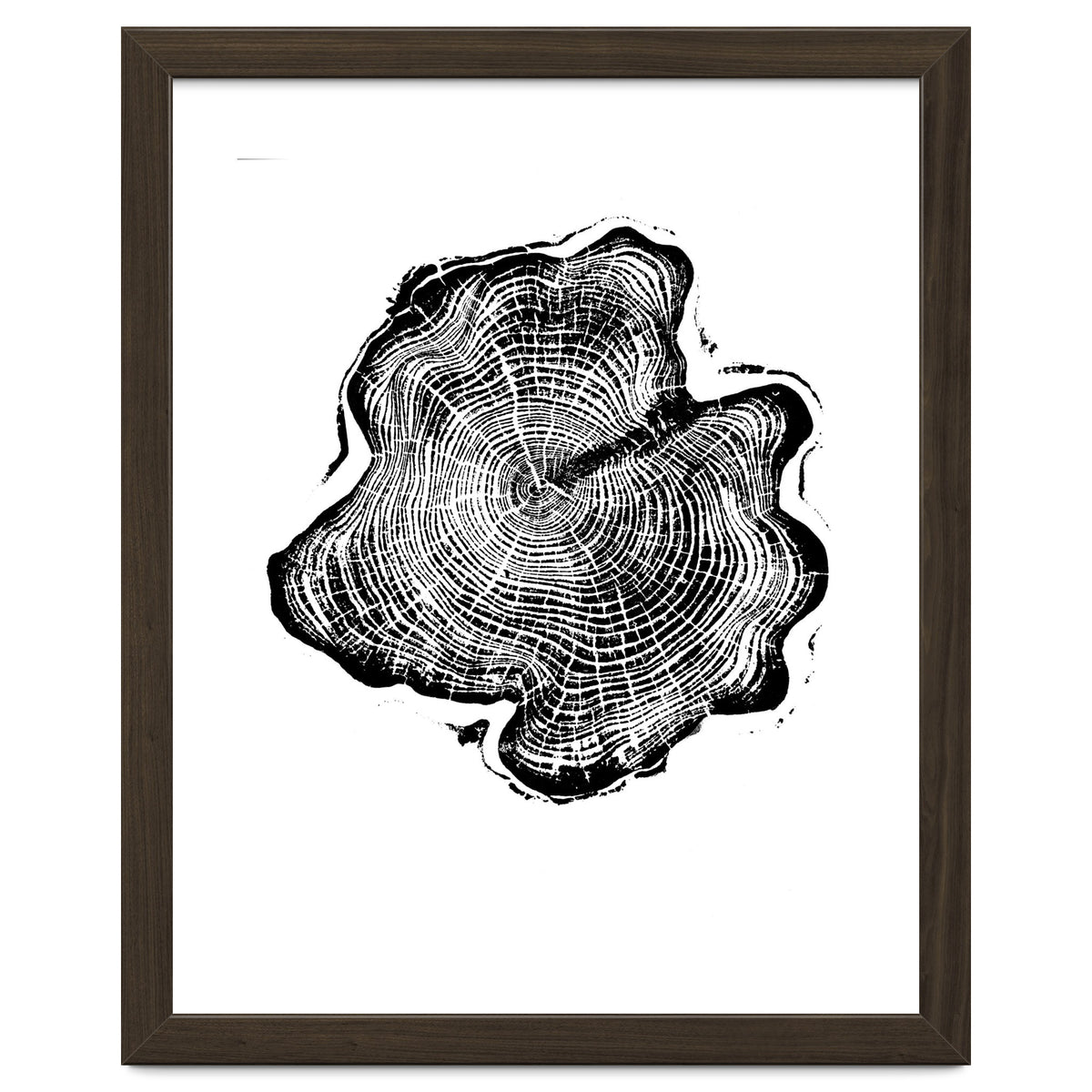 Alaskan Cypress, Tree Ring Art Print, Woodblock
