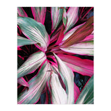 fiore red (Print Only) thumbnail