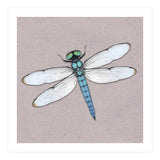 Blue dragonfly (Print Only) thumbnail