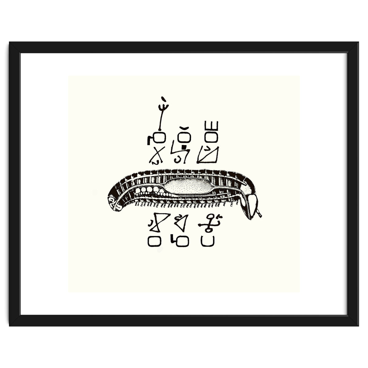 Diplopod David Felix