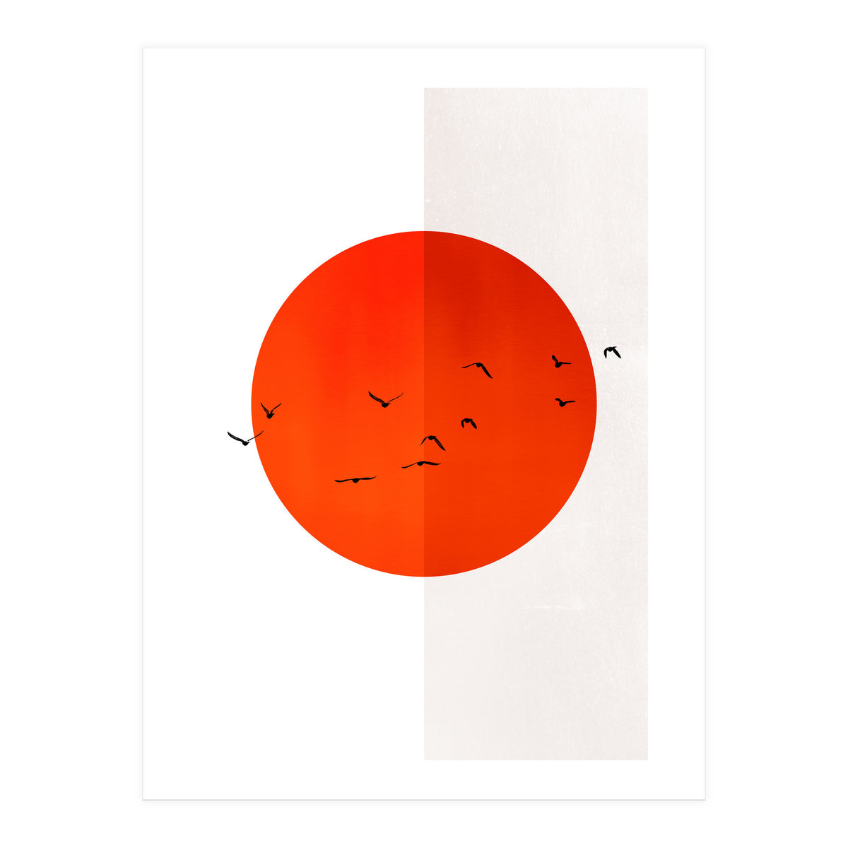 Seagulls Of The Sun (Print Only)