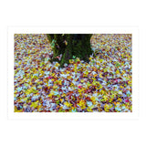Autumn Leaves (Print Only) thumbnail