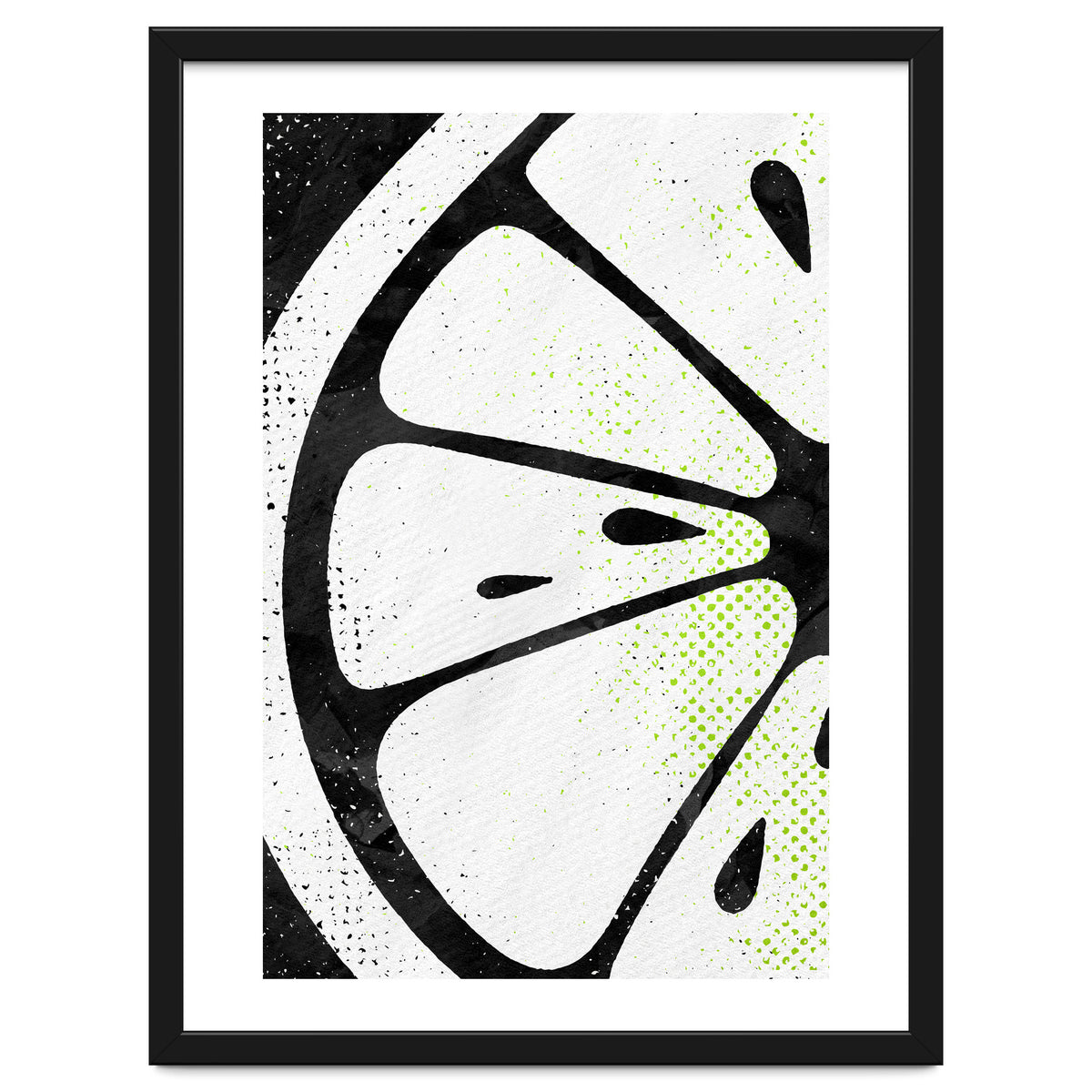 Citrus Collection No5