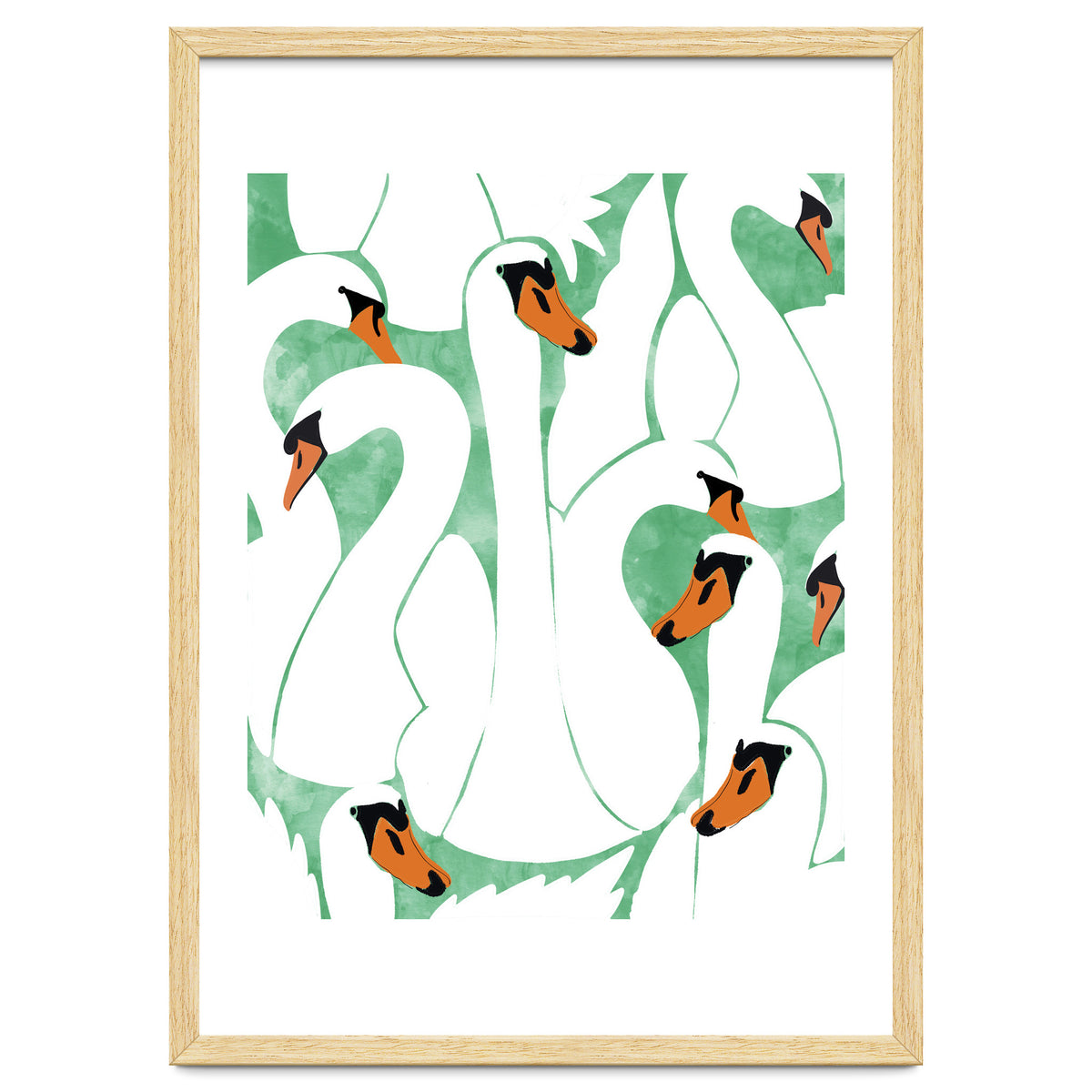 White Calm Was Born Into A Swan