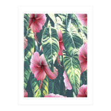 Wild Hibiscus (Print Only) thumbnail