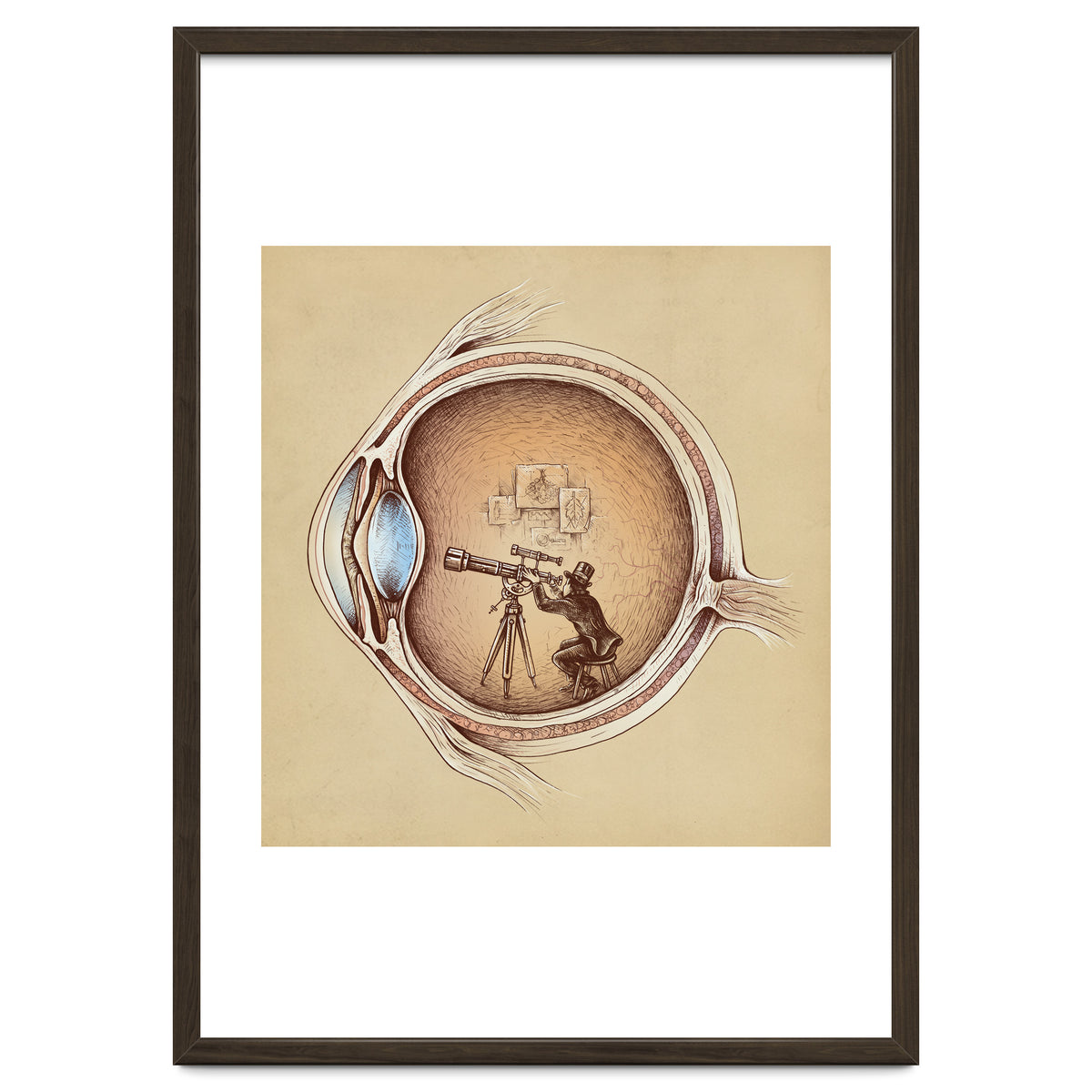 Extraordinary Observer