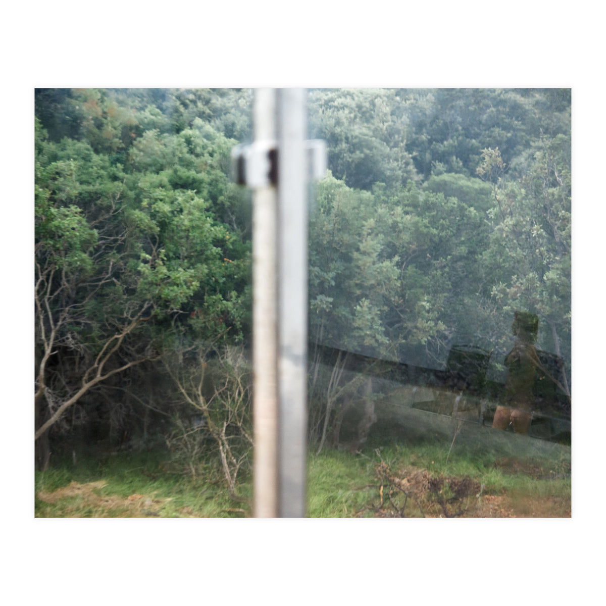 Diary of a Stalker (Print Only)