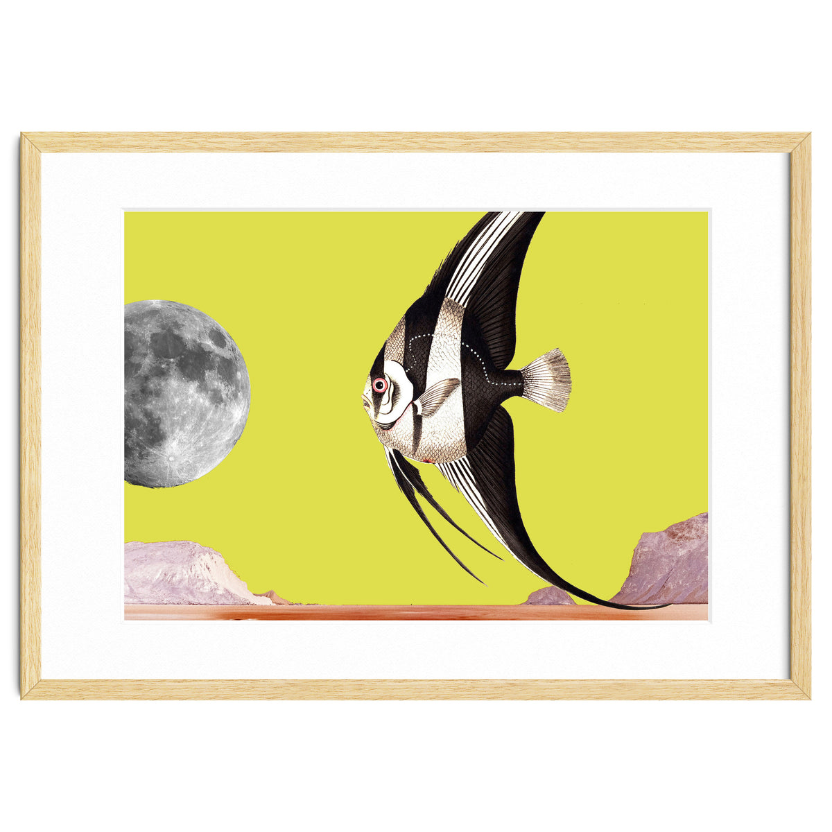 Plenty of fish in the sea yellow