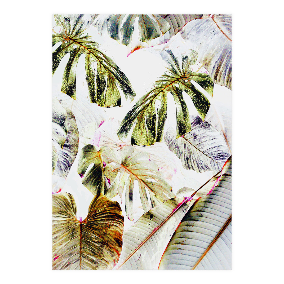 Vintage Tropica (Print Only)
