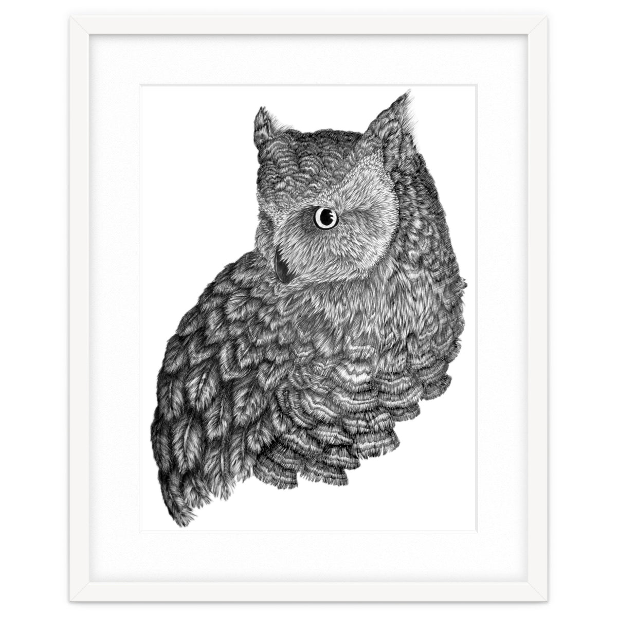 A Friend For Forsythe