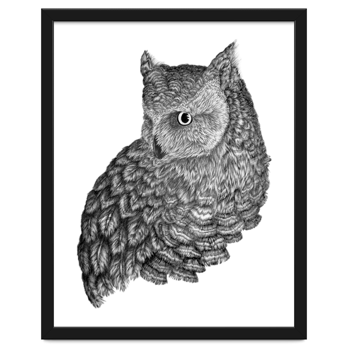 A Friend For Forsythe