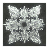 A Winged Debacle (Print Only) thumbnail
